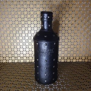 ABSOLUTE VODKA CASE